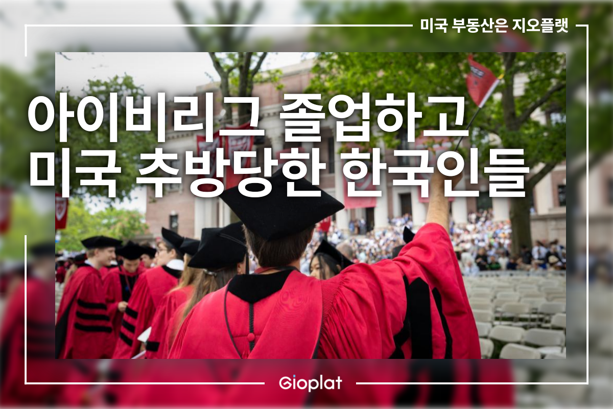 아이비리그 졸업하고도 한국으로 돌아오는 한국인들, 한인 유학생들 현실