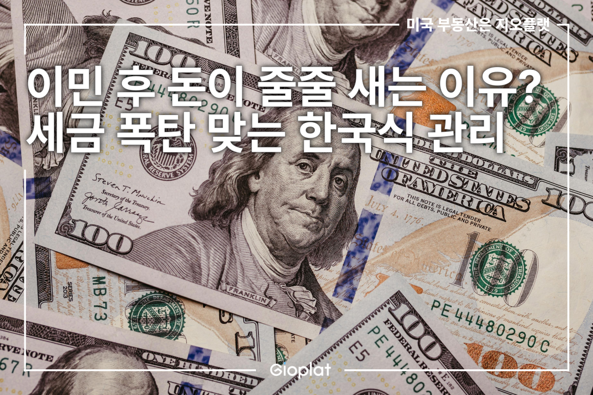 미국 이민 자산 구조 정비