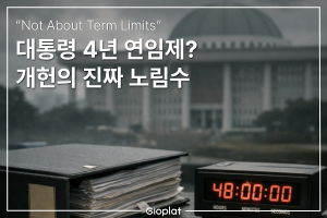 대통령 4년 중임제 개헌 진짜 내용