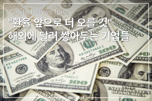 원달러 환율 상승 이유