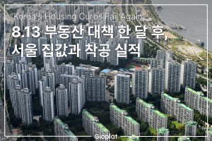 8.13 부동산 대책